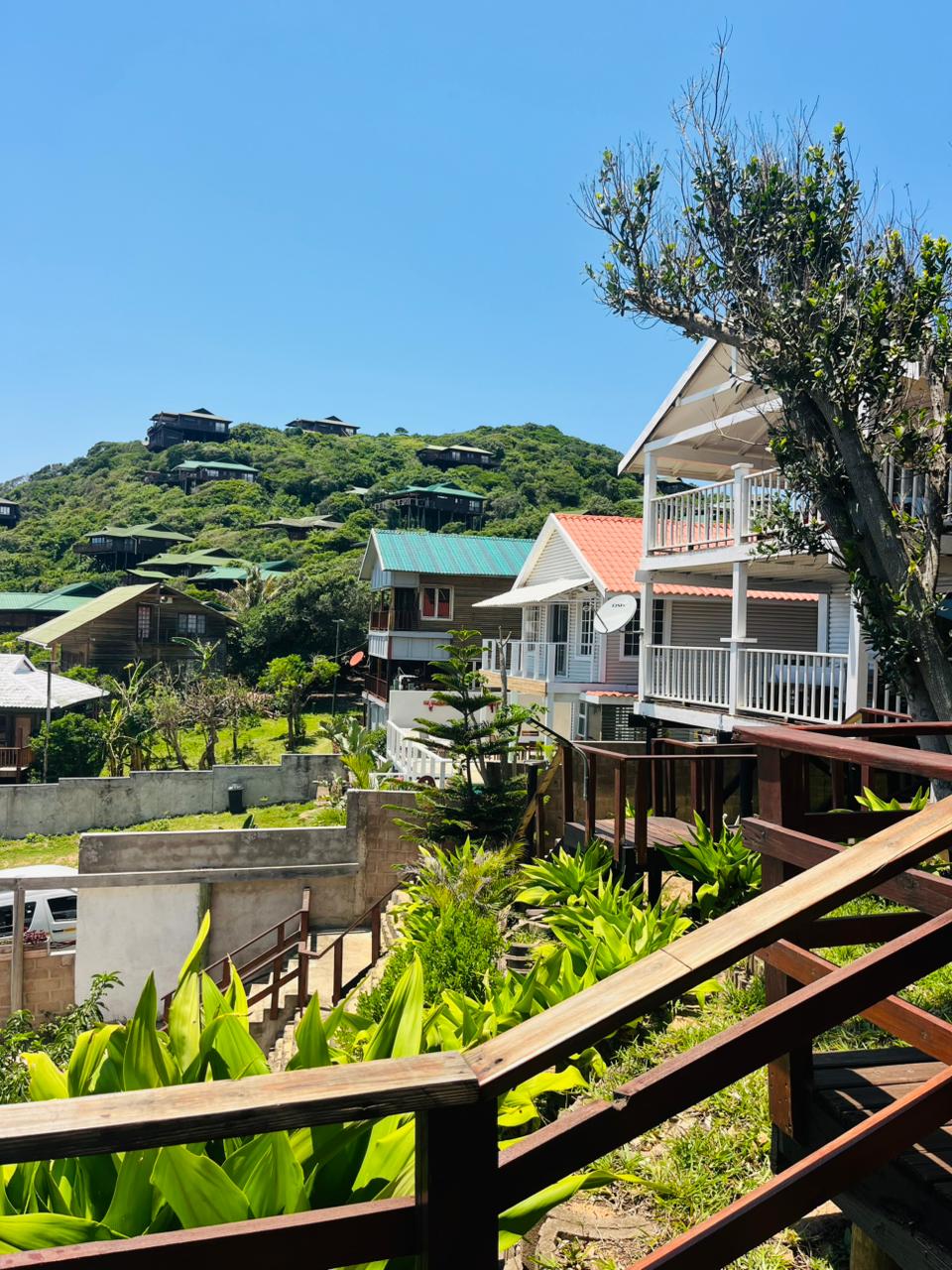 WhatsApp Image 2026-01-26 at 21.41.09 (1) WhatsApp Image 2026-01-26 at 21.41.09 (1)