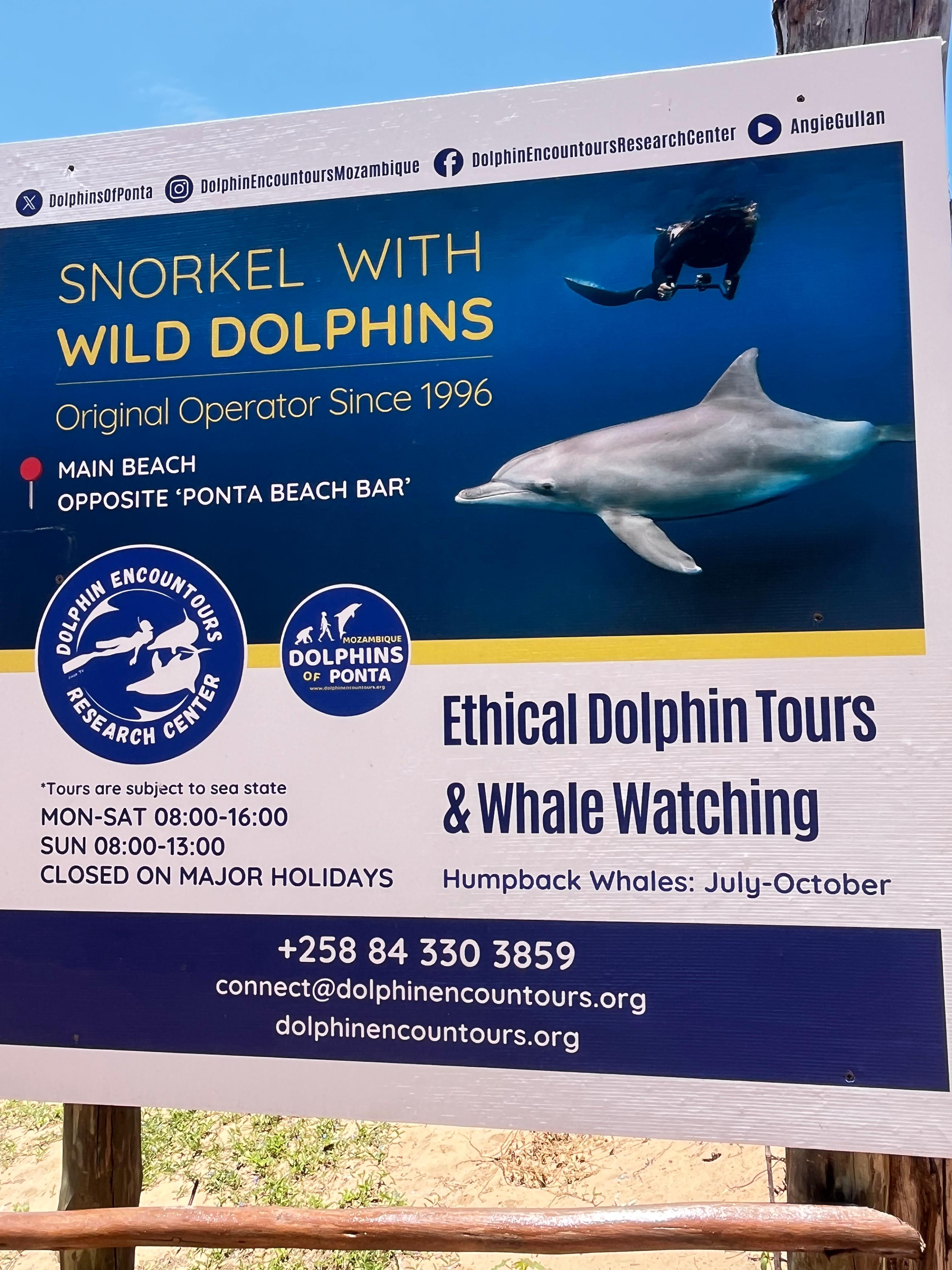 WhatsApp Image 2026-01-26 at 21.41.10 WhatsApp Image 2026-01-26 at 21.41.10